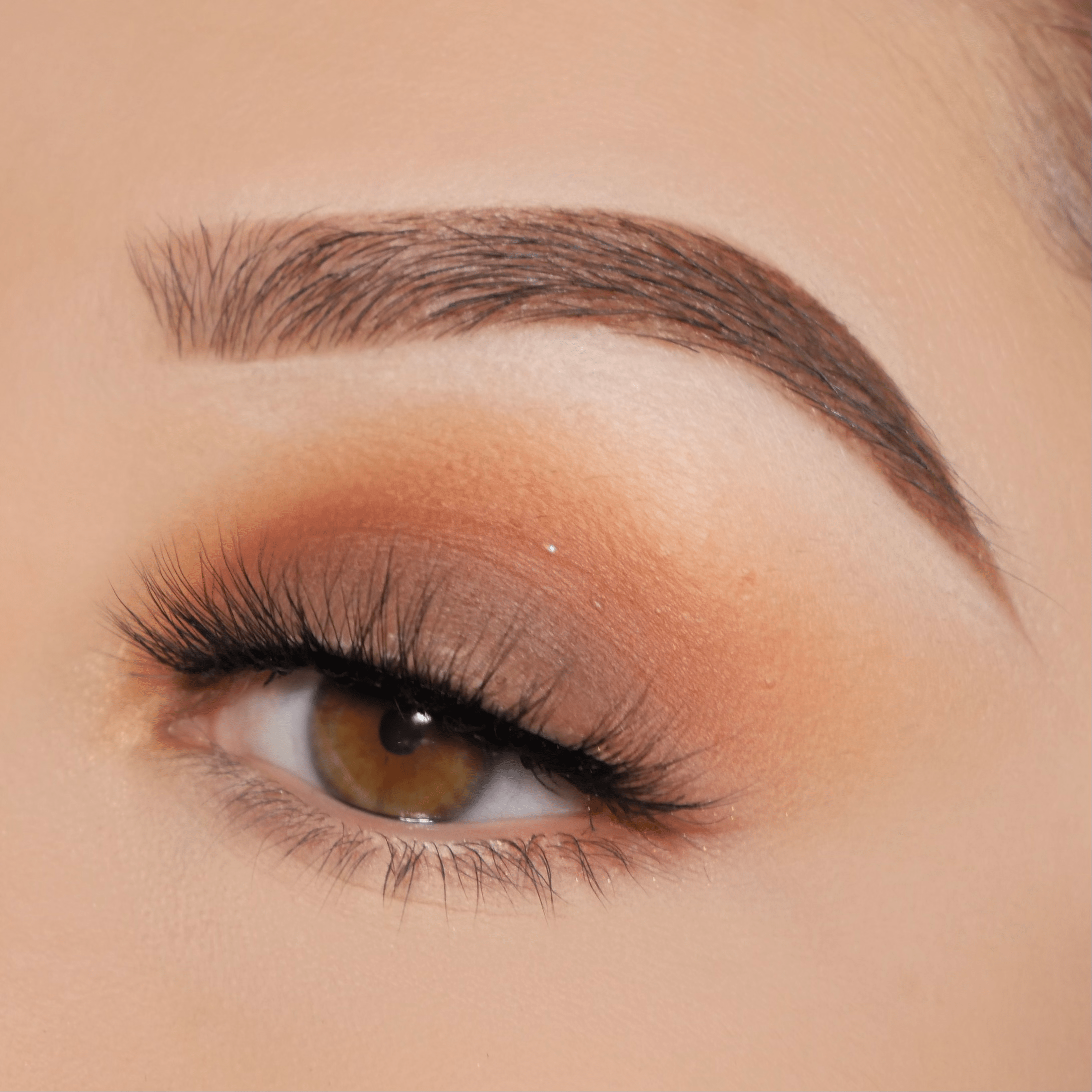 Sparkling Rose Cosmetics Eyeshadow Palette